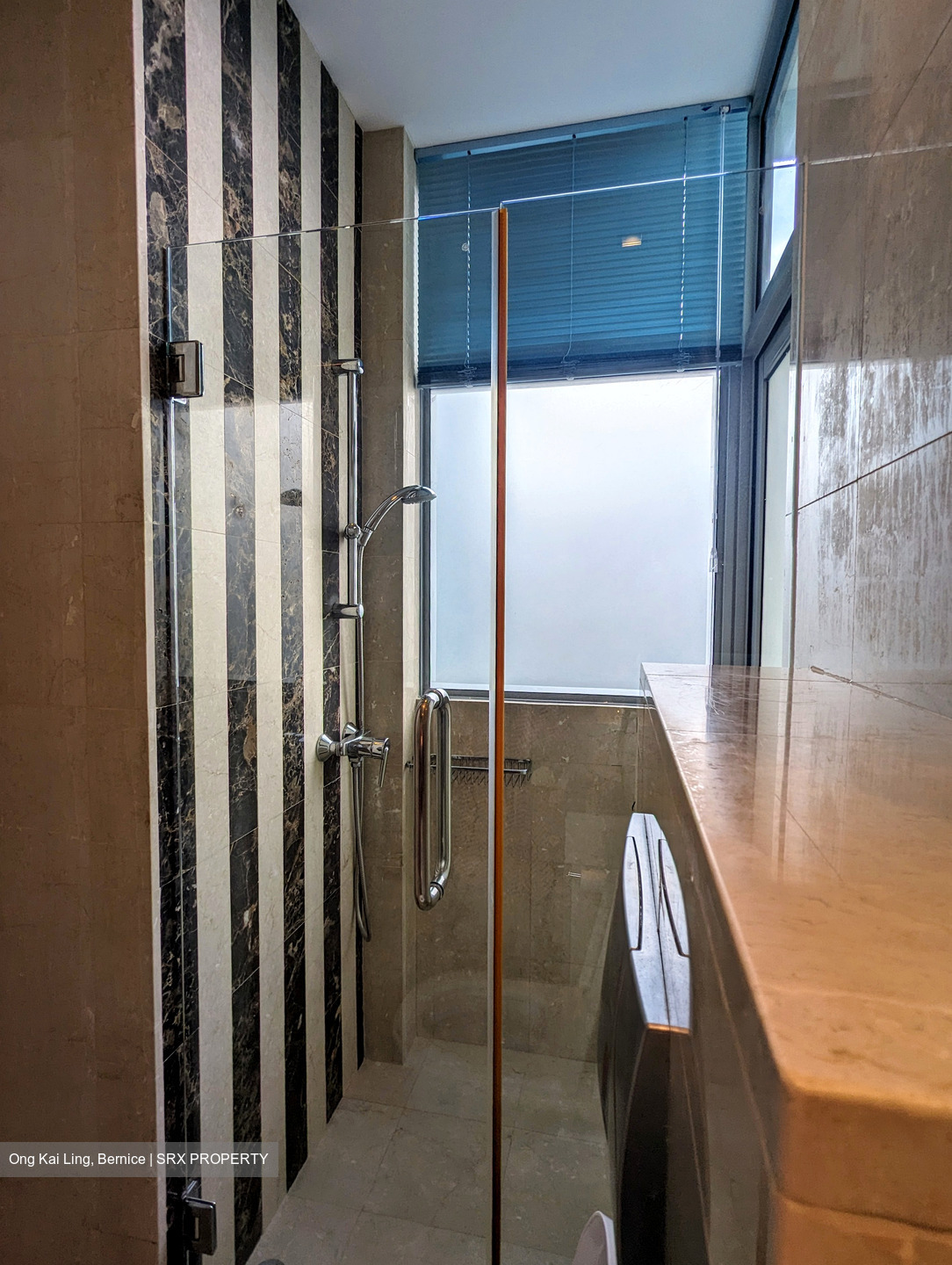 Balmoral Hills (D10), Condominium #420718501